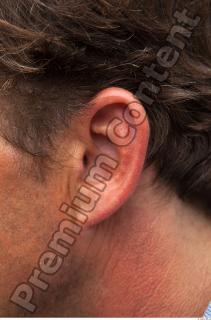 Ear texture of street references 330 0001